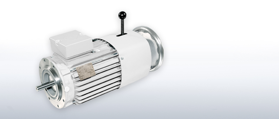 Brake motors
