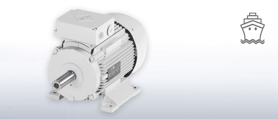 Marine propulsion motors